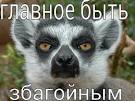 Львовские волонтеры передали украинским бойцам на Донбассе 10 автомобилей - Цензор.НЕТ 3712
