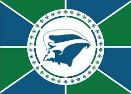 Geography, maps, flag, statistics, photos and cultural information about china. Martinique Ipseite Flag Get Your Martinican Flag Now