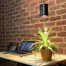 What is the best fluorescent light for plants? 40w Led Pendant Decor Grow Light The Aspect Touch Of Modern