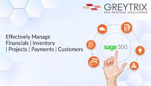 Sage 300 Integration Services Salesforce Integration Business Intelligence News Apps