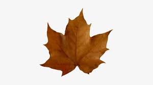 Below, i have provided two easy to download zip files containing high quality 300 dpi png images with transparent backgrounds. Fall Leaves Clip Art Beautiful Autumn Clipart Brown Leaf Transparent Background Free Transparent Png Download Pngkey