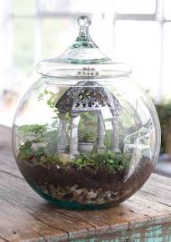Terrarium Fairy Garden Have Large Candy Jar With Lid Miniature Garden Garden Terrarium Most Beautiful Gardens