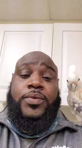 Cockatoo Parrot Beatbox Dance Session