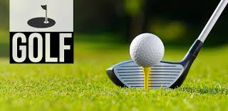 Medford Golfers Take Title at Marathon Invitational, Led by Connor Lingen