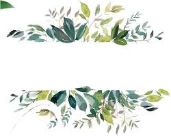 We did not find results for: Free Watercolor Leaves Banner Vector Clipart Psd Watercolor Leaf Frame Png Transparent Png Watercolor Cl Watercolor Leaves Watercolor Cards Flower Frame