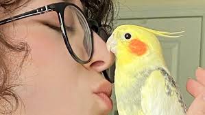 Fundraiser for Jeanette Kovacs by Deanna Bee : Tragic hit and run