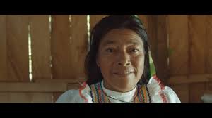 Informe Anual de Rainforest Alliance 2021