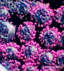Get the latest information on vaccines in development and the distribution across texas. Coronavirus Forschen Gelingt 3d Bild Von Sars Cov 2 Der Spiegel