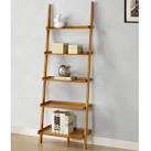 Ladder Style Bookshelves - Ideas for Storage