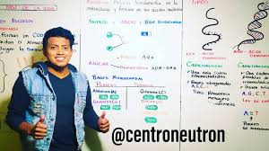 📌#PizarraNeutrón 📌 Te compartimos una pizarra resumen de #Biología #2BGU  #PlanEducativo Síguenos en Instagram y Tik Tok como @centroneutron Web  oficial: http://centrodeestudiosneutron.com/ YouTube:  https://www.youtube.com/c/centrodeestudiosneutron ...