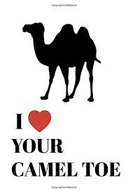 But the result is a camel toe no matter what. I Love Your Camel Toe Louise Robyn 9781792147241 Amazon Com Books