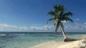 All templates follow the recommended 1920px × 1080px dimension with 16:9 aspect ratio for a. Latest Tropical Gifs Gfycat