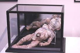 A serbian film birth scene