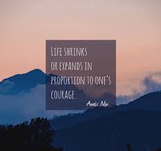 Fueled By Coffee On Twitter Life Shrinks Or Expands In Proportion To One S Courage Anais Nin Https T Co Rp3dan0qhr Twitter