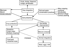 Less willing the chemical treatment provided by unimar for public health pest control services, is most suitable for the human health whether from the biological, physical and. Agro Ecological Pest Management An Overview Springerlink