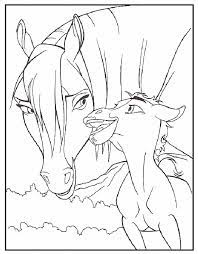 Paard Boerderijdieren