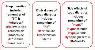 Image result for Loop Diuretic