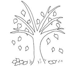 Some evergreen types like for example, pines, cedars, and spruces stay green throughout the year. Coloring Pages Trees And Leaves Iconcreator Info