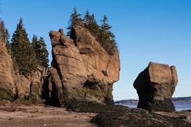 hopewell rocks wikipedia