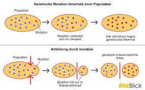 Die stärke des genflusses ist daher ausschlaggebend für die genetische differenzierung zwischen populationen, wobei niedriger genfluss die artbildung fördert (slatkin, 1987). Isolation Abiblick De