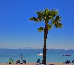 Compare 46 hotels in ipsos using 103 real guest reviews. Ipsos Corfu Apartments Ipsos Corfu Alexandra Apartments