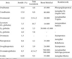 Daripada cuma makan telur untuk memenuhi kebutuhan protein, sebaiknya kita lirik juga 7 makanan ini yang lebih tinggi kandungan proteinnya! Proses Pembuatan Tepung Putih Telur Dengan Pengering Semprot