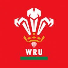 Available to buy now with next day delivery at pro:direct rugby. North Wales Ruc News Entry Level For Wru Coaching Badge Reduced To 16