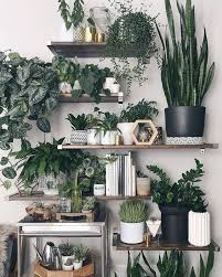 60 Plant Stand Design Ideas For Indoor Houseplants Page 55 Of 67 Lovein Home Plant Decor Plants House Plants