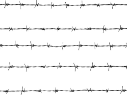 Barbed Wire Png Transparent Barbed Wire Png Images Pluspng Borders And Frames Barbed Wire Fencing Barbed Wire