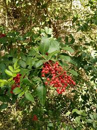 Petra Stephenson 21369634_1369918993076818_506128280324966…