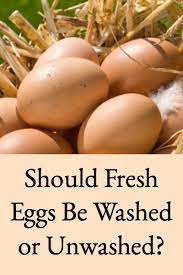 Fresh Eggs Washed Or Unwashed It Depends
