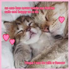 Pin By Tired On Love In 2020 Cats Kitty Love Memes