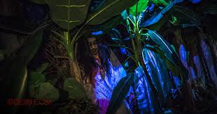 Pontianak, kota (city) and capital, west kalimantan propinsi (or provinsi; Pontianak Halloween Horror Nights 8 Dejiki Com