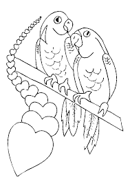 page 2 sur 19 hugolescargot com coloriage perroquet coeur chiot bouvier bernois