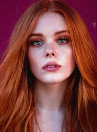 My Fancast/Dreamcast: The Fever Series by Karen Marie Moning