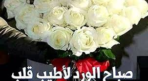 صباح الورد والياسمين صباح يسعد ويفرح الغالين كلام صباحي روعة vegetables food