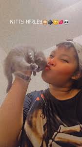 Why do cats have such flexible spines?