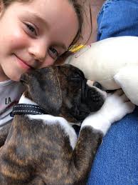 Bruce with my first great granddaughter he was so gentle never seen a baby  before so proud of him