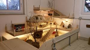 Dann solltest du dir unbedingt das tolle. Innengehege Fur Meerschweinchen Meerschweinchen Gehege Meerschweinchen Meerschweinchenstall