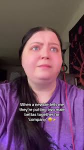 Pwede Ba Pagsamahin Ang Male Betta