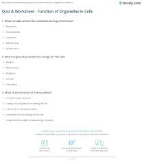Oct 04, 2019 · organelle definition. Cell Organelle Functions Worksheet Nidecmege