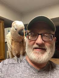 What bird is this please? Different to usual jackdaws and crows