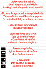Son Dokulen Yerler Gelin