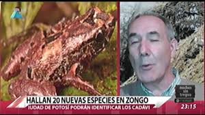 HALLAN 20 NUEVAS ESPECIES EN ZONGO
