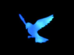 Ikimono Gakari Blue Bird Naruto Opening Youtube Blue Bird Naruto Blue Bird Naruto