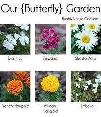 Bee, butterfly, and bat populations face alarming declines worldwide. Pin On Flowers