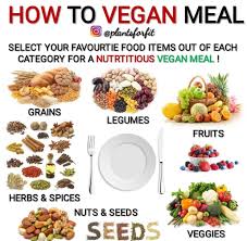 Pin By Kelly Lacey On Vegan Info Raw Food Recipes Vegan Plate Vegan Meal Plans