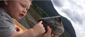 Planet Alaska: An immune system boost from salmon head soup