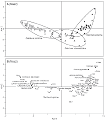 Image result for Enteropogon prieurii