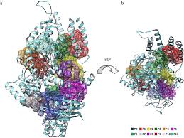 One of the top sport fish in the world, salmon are amazing to catch with a rod and reel. Energy Coupling Factor Transporters As Novel Antimicrobial Targets Bousis 2019 Advanced Therapeutics Wiley Online Library
